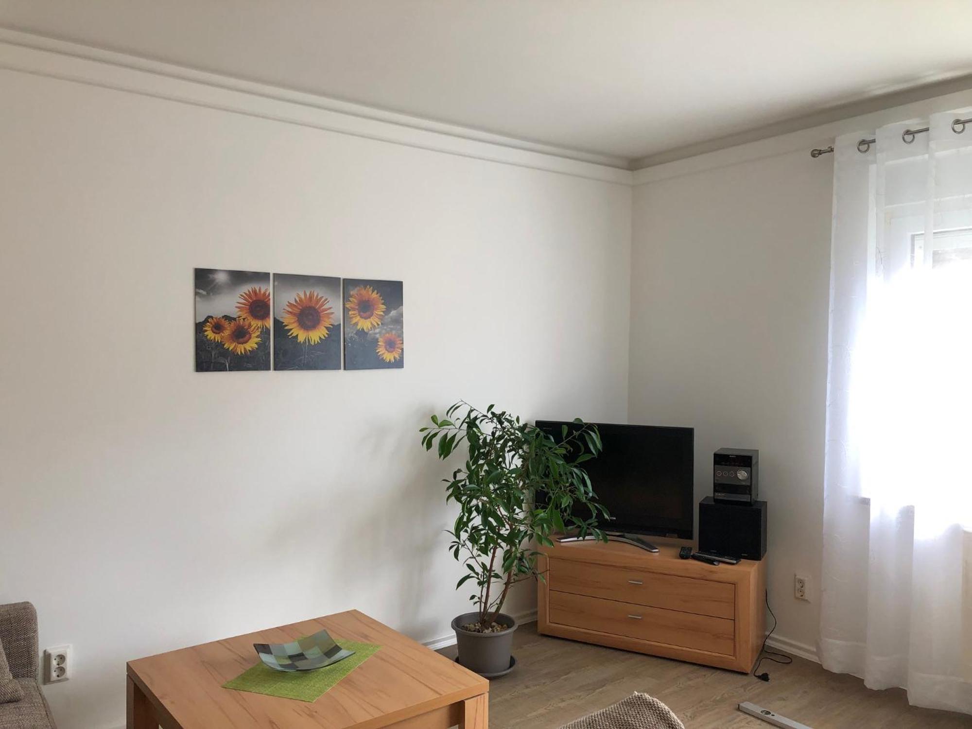 Harzquerbahnblick Apartment เบนเนคเคนสไตน์ ภายนอก รูปภาพ